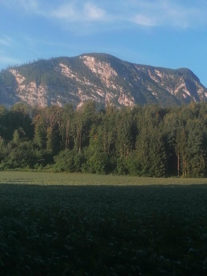 Appartment Resi Wohlfuehlen Und Relaxen Eberndorf Zewnętrze zdjęcie